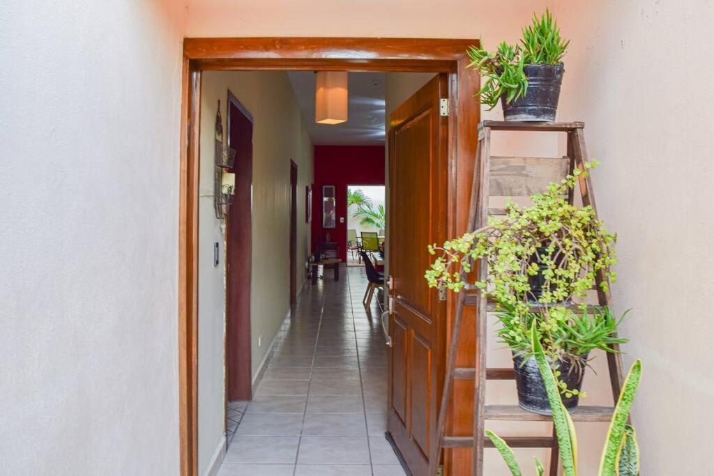 San Jose Del Mar Villa La Paz Exteriör bild